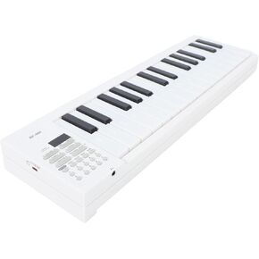61 Key Folding Piano Keyboard, Weighted Electric Keyboard, Portable Travel Piano Digital Music Keyboard for Beginners,with Recording Playback
