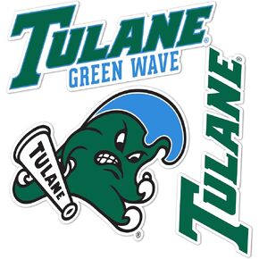 Desert Cactus Tulane University Sticker Green Wave Vinyl Decals Laptop Water Bottle Car Scrapbook T5 (Type 5-1)