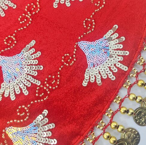 وشاح الورك للرقص الشرقي مع عملات معدنية على شكل صدفة بريق الترتر التألق تنورة ملفوفة للنساء إكسسوارات الزي in Kuwait