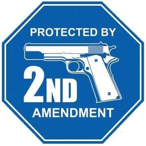 ION Graphics 5.75" Protected by 2nd Amendment Sticker Die Cut Decal Gun Rights 2a 5" Bumper Locker Laptop Window - Sticks to Any Surface