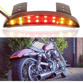 Rich Choices Motorcycle Rear Fender Edge LED Braking License Plate Tail Light Stop Running Light Compatible with Harley Davidson Breakout FXSB 2013-2016 CVO FXSBSE 2013-2014 (Red Lens)