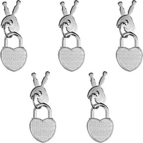 5 Pack Diary Padlock, Mini Locks with Keys, Tiny Luggage Locks for Travel, Jewelry, Boxes, Backpack (Heart, 5)