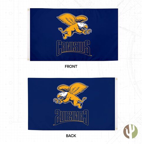 Desert Cactus Canisius College CC Flag - 3 × 5 أقدام لافتة Griffins الذهبية ، النسيج المتين الداخلي/الخارجي ، تصميم البوليستر 100 ٪ (النمط 1) in Saudi Arabia