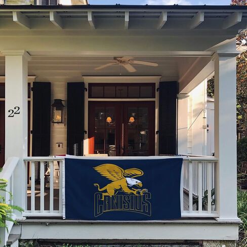 Desert Cactus Canisius College CC Flag - 3 × 5 أقدام لافتة Griffins الذهبية ، النسيج المتين الداخلي/الخارجي ، تصميم البوليستر 100 ٪ (النمط 1) in Saudi Arabia