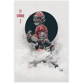 CJ Stroud Poster Canvas Poster Wall Art Decor Print Picture Paintings for Living Room Bedroom Decoration Unframe:12x18inch(30x45cm)