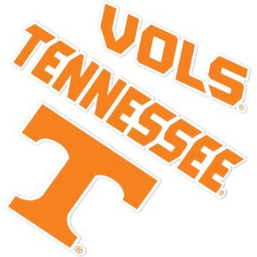 Desert Cactus University of Tennessee Sticker UT Knoxville Volunteers Vols Vinyl Decals Laptop Water Bottle Car Scrapbook T5 (Type 5-1)