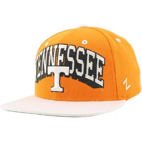 Zephyr NCAA Officially Licensed Hat Flat Snapback Z11 Retro Blockbuster