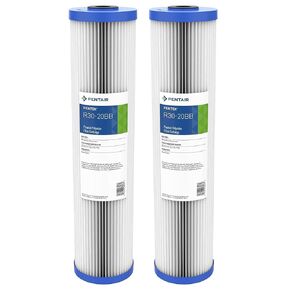 Pentair Pentek R30-20BB Big Blue Sediment Water Filter, Whole House Pleated Polyester Filter Cartridge, 20" x 4.5", 30 Micron, Pack of 2