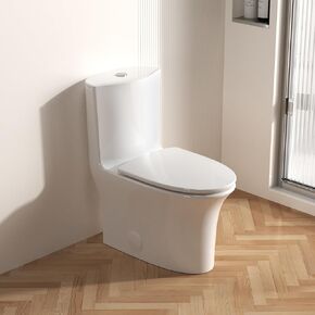 Dual Flush Elongated Standard One Piece Toilet for Bathroom Comfort Height in White