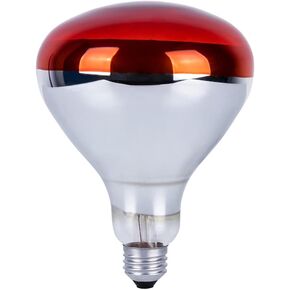 250 Watts Heat Lamp Bulbs, R40 Brooder Heat Lamp Bulbs for Chickens, Infrared Reflector Heat Bulbs for Brooder Heater, Incandescent Heating bulb for Chicks, Pet, Light Therapy, Bathroom, Food (1 Pack)