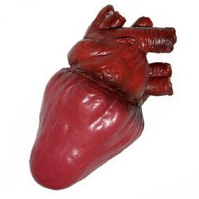 International Life Size Foam Heart Gory Halloween Prop