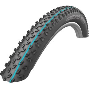 Schwalbe Racing Ray Tire - 29 x 2.1, Tubeless, Folding, Black, EvolutionLine, SnakeSkin, Addix Speedgrip