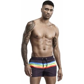 Men's Pride Rainbow Stripe Swim Trunks Quick Dry Beach Shorts with Pockets