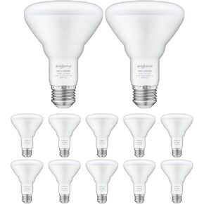 SHINESTAR 12-Pack BR30 LED Bulb 65W Equivalent, Recessed Light Bulbs, 2700K Warm White, Dimmable, 650LM, E26 Base
