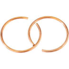 Vacuum Cleaner Ring 2 PCS Replacement for Proteam Commercial Vacuum Wand Filter Backpacks 100102, 100104, 101338, 106290, 106293, 107628,Parts & Accessories 100100