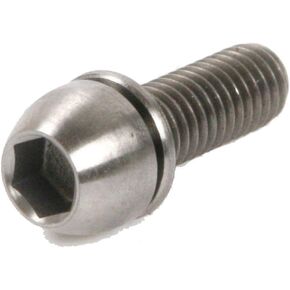 Driak Titanium Ti M6 X 19mm Screws Torx T25 Head Titanium Disc Brake Rotor Bolts, 8 Pics