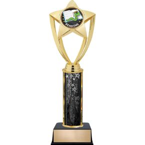 قابلة للتخصيص 12 بوصة جائزة قراءة نجم Black Star Trophy ، Engrave الآن