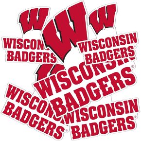 Desert Cactus University of Wisconsin Sticker Badgers UW Madison Sticker Vinyl Decals Laptop Water Bottle Car Scrapbook Sheet T3 (Type 3-4)