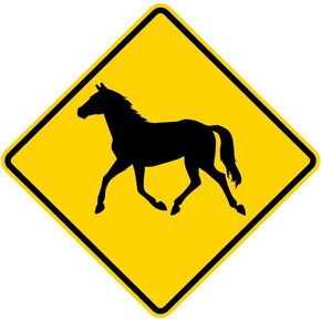 Municipal Supply & Sign Co 24 x 24 Horse Crossing Sign - Genuine Equine Crossing Symbol - 3M High Intensity Prismatic Reflective Sheeting - Prominent Warning Sign - 10-Year 3M Warranty
