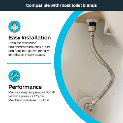Eastman 12 inch المرحاض مرنة ، 7/8 بوصة المكسرات بالكرات × 3/8 بوصة توصيل مدخل مضيق ، خرطوم مرحاض مضفر من الفولاذ المقاوم للصدأ ، 48097 in Kuwait