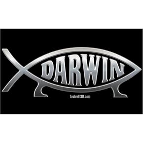 EvolveFISH Darwin Fish Bumper Sticker - [5" x 3"]