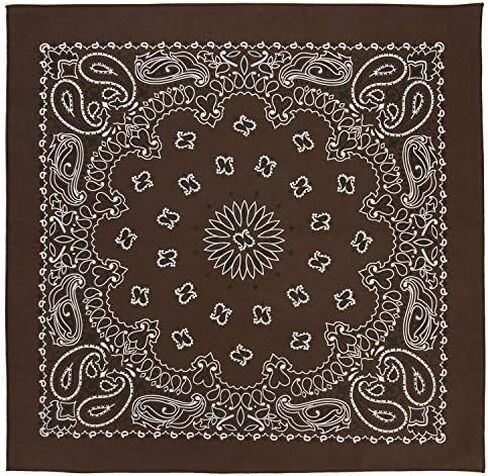 مناديل بيزلي غربية 100% من القطن (22 بوصة × 22 بوصة) صُنعت في الولايات المتحدة الأمريكية in Kuwait