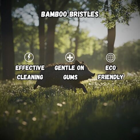 Boar Bristle & Bamboo-frushrush- فرشاة أسنان صديقة للبيئة مع شعيرات خنازير طبيعية 100 ٪- قابلة للتحلل ، آمنة اللثة ، شركة متوسطة ، خيزران وفرشاة أسنان الخنازير in Kuwait