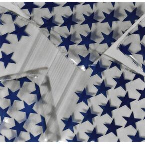 200-1" x 1" Blue Star Design Small Plastic Ziplock Baggies