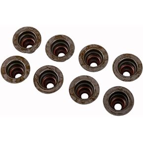 GM Genuine Parts 12482062 Engine Exhaust Valve Stem Oil Seal Kit