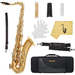 Apollo Alto Saxophone in gold lacquer with leather pads, complete with case and accessories