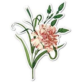 Pink Carnation - Vintage Flower Painting - Vinyl Decal Sticker - 3.75" x 4.95"