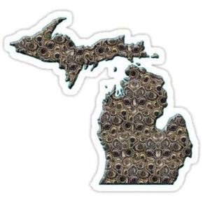 (Set of 3) Michigan Petoskey Stone Decal Sticker - Sticker Graphic - Auto, Wall, Laptop, Cell, Truck Sticker for Windows, Cars, Trucks
