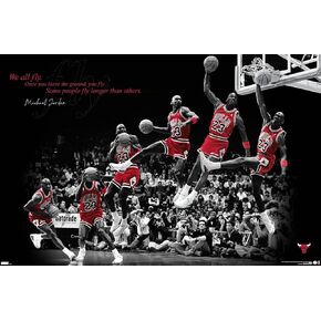 Trends International Michael Jordan - Fly Wall Poster, 14.725" x 22.375", Premium Unframed Version