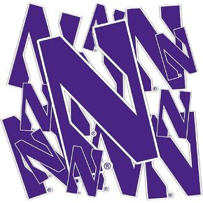 Desert Cactus Northwestern University Wildcats Sticker Vinyl Decals Laptop Water Bottle Car Scrapbook T3 (Type 3-1)