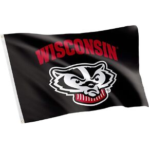 Desert Cactus University of Wisconsin Flag Badgers UW Madison Banners 100% Polyester Indoor Outdoor 3x5 feet Flags (Design 7)