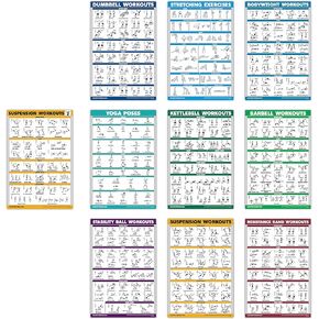 10 Pack - Exercise Workout Poster Set - Suspension Volume 1 & 2, Dumbbell, Kettlebell, Resistance Bands, Stretching, Bodyweight, Barbell, Yoga Poses, Exercise Ball (PAPER - NOT LAMINATED 18" x 27")