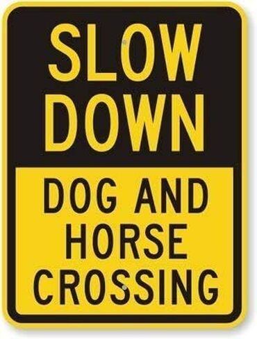 Eletina Warning Bilingual Beware of Dog Sign. English & Spanish Safety Signs. 8"" X 12"" inch Metal. in Saudi Arabia