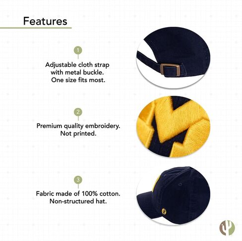 Desert Cactus University of Michigan Baseball Hat UM Wolverines Brimmed Embroidered Cap Adjustable Cloth Strap Adult Type A in Saudi Arabia