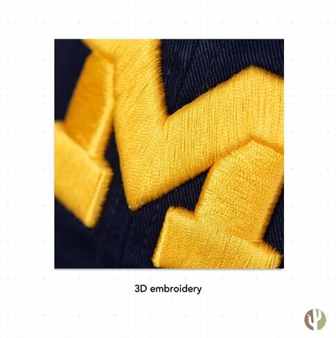 Desert Cactus University of Michigan Baseball Hat UM Wolverines Brimmed Embroidered Cap Adjustable Cloth Strap Adult Type A in Saudi Arabia