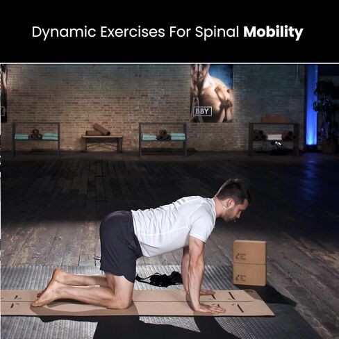 Better Back Yoga - Gentle Yoga To Prevent and Alleviate Chronic Back Pain | 2 Part System To Help You Feel Better, Move Better, and Live Better | Bonus 10 Min Routine For Quick Back Pain Relief in Saudi Arabia