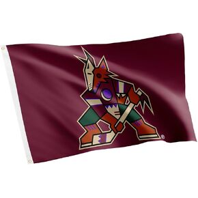 Desert Cactus Arizona Coyotes Flag NHL 100% Polyester Indoor Outdoor 3x5 feet National Hockey League Team Flags (Design B)