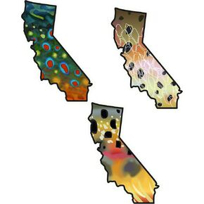 California 2.75" Trout Fly Fishing Sticker Decal Set Waterproof Vinyl Great Gift for Angler Fits Yeti Hydroflask Brook Trout Golden Trout Cutthroat Trout