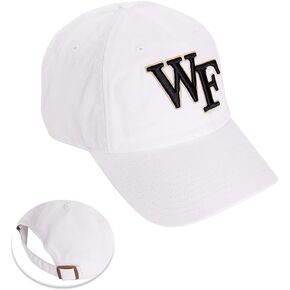 Desert Cactus Wake Forest University Baseball Hat WFU Demon Deacons Hats Cap Brimmed Embroidered Adjustable Cloth Strap Adult