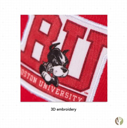 Desert Cactus Boston University Baseball Hat Terriers BU Brimmed Embroidered Hats Cap Adjustable Cloth Strap Adult in Saudi Arabia