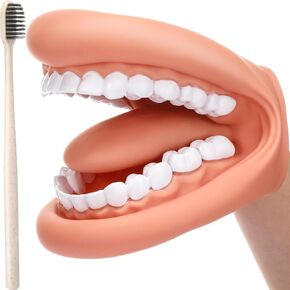 Patelai 2 Pcs Mouth Puppet with Tongue Teeth Hand Puppet Dental Mouth Model and Toothbrushes for Boys Girls Educational Tool Speech Therapy