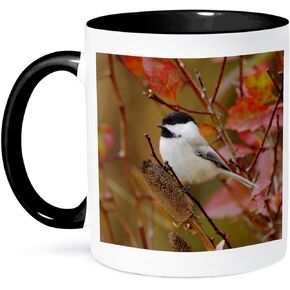 3dRose Capped Chickadee Bird, Grand Teton, Wyoming-NA02 RNU0409-Rolf Nussbaumer Two Tone Mug, 11 oz, Black/White