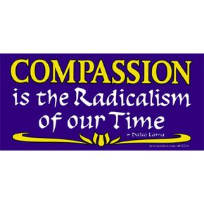 Compassion is The Radicalism of Our Time - Dalai Lama - Bumper Sticker/Decal (6.5" X 3.25")
