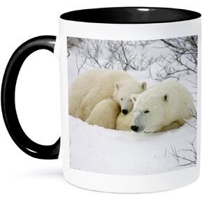 3dRose Polar Bear Female and Cub, Churchill, Manitoba, Canada Mug, 11 oz, Black