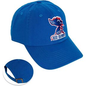Desert Cactus DePaul University Baseball Hat Blue Demons Brimmed Embroirderd Cap Adjustable Cloth Strap Adult (Style C1 Vintage)