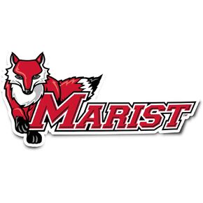 Desert Cactus Marist College Red Foxes Vinyl Decal Laptop Water Bottle Car Scrapbook Sticker (IND 004)